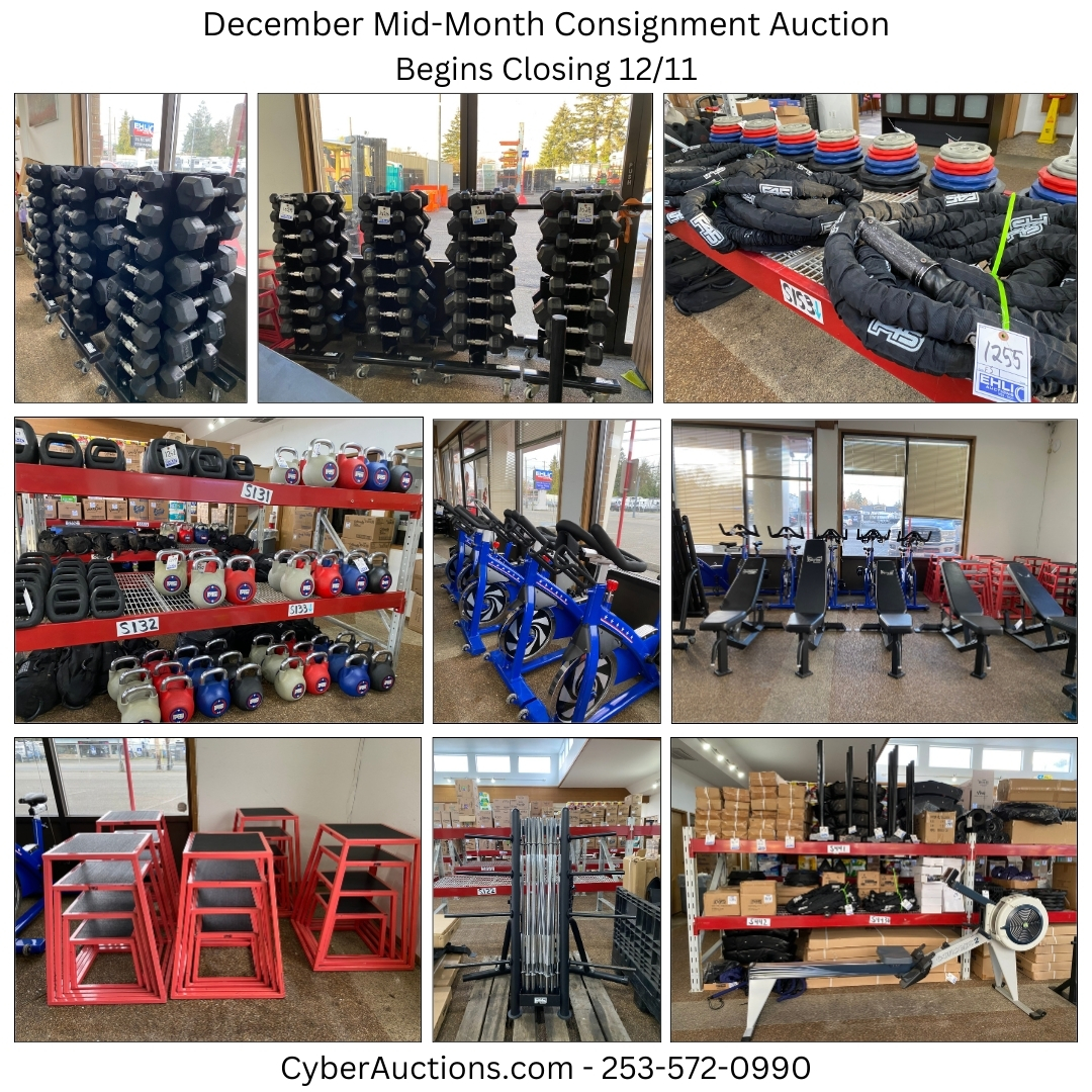 December Mid Month Consignment Auction (7)